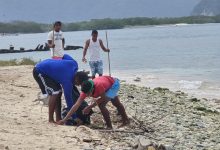 Recolectadas más de 1,7 toneladas de desechos en Mega Jornada de Saneamiento en Isla Larga