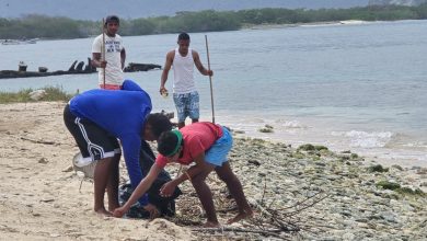 Recolectadas más de 1,7 toneladas de desechos en Mega Jornada de Saneamiento en Isla Larga