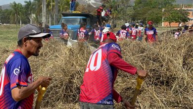 Continúan labores de remodelación de Campus Bárbula de la UC