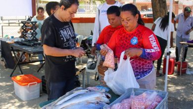 Alcaldía de Maracaibo cierra Feria del Pescado con cuatro jornadas exitosas