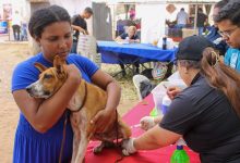 Vacunación antirrábica de mascotas llega a la parroquia Juana de Ávila de Maracaibo