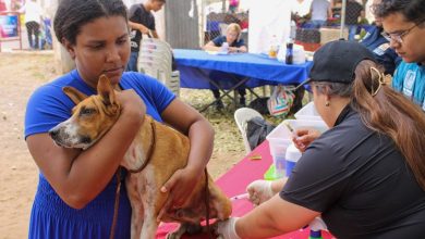 Vacunación antirrábica de mascotas llega a la parroquia Juana de Ávila de Maracaibo