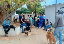 Misión Nevado realizó Campaña de Vacunación Antirrábica gratuita en el municipio Miranda en el estado Zulia
