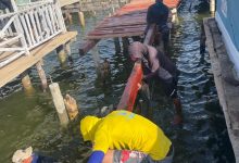 Rehabilitación de caminerías en Palafitos de Santa Rosa de Agua en Maracaibo alcanza 40% de avance