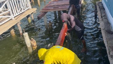 Rehabilitación de caminerías en Palafitos de Santa Rosa de Agua en Maracaibo alcanza 40% de avance