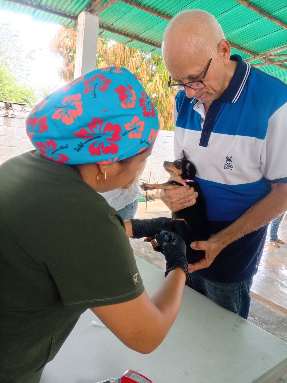 Misión Nevado realizó Campaña de Vacunación Antirrábica gratuita en el municipio Miranda en el estado Zulia