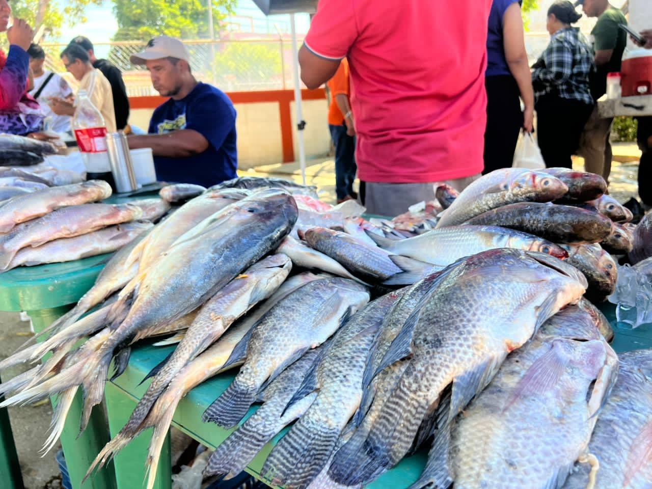 Alcaldía de Maracaibo cierra Feria del Pescado con cuatro jornadas exitosas