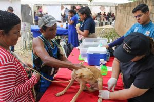 Vacunación antirrábica de mascotas llega a la parroquia Juana de Ávila de Maracaibo