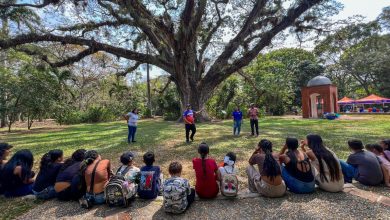 Jardín Botánico de Naguanagua, refugio para el sano esparcimiento en medio de la ciudad