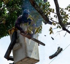 Desplegado Plan Cayapa Eléctrico en los Circuitos 1 y 2 de Ciudad Alianza