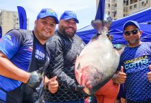 Operativo “Venezuela Come Pescado” se despliega en el municipio San Francisco con 25 toneladas
