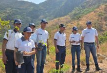 Gobierno de Carabobo inició Plan de Reforestación en zonas del Parque Nacional Henri Pittier en Diego Ibarra