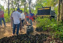 Alcaldesa Elizabeth Niño anuncia plan de rehabilitación del Jardín Botánico de Naguanagua
