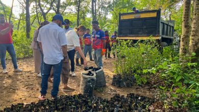 Alcaldesa Elizabeth Niño anuncia plan de rehabilitación del Jardín Botánico de Naguanagua