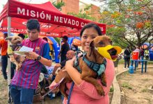 Gestión Elizabeth Niño brindó atención de salud a mascotas de Naguanagua
