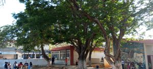 Gobernación del Zulia restaura la Casa Museo de Gabriel Bracho en la Costa Oriental del Lago
