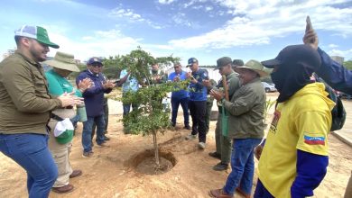 Zulia: Inicia Plan de Reforestación Chuquisaca con el establecimiento de mil árboles autóctonos
