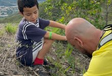 Más de 2 mil 500 árboles sembrados en mega jornada de reforestación en cerro El Casupo