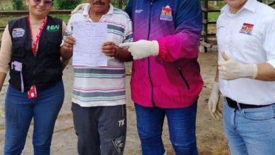 Alcaldía de Maracaibo inicia vacunación de 4.700 bovinos contra la fiebre aftosa