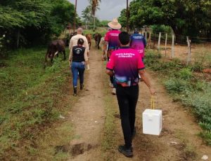 Alcaldía de Maracaibo inicia vacunación de 4.700 bovinos contra la fiebre aftosa