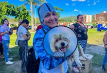 Más de 300 mascotas atendidas durante Gran Jornada Veterinaria de la Alcaldía de Naguanagua 