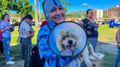 Más de 300 mascotas atendidas durante Gran Jornada Veterinaria de la Alcaldía de Naguanagua 
