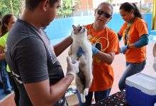 Alcaldía de Valencia desplegó jornada de atención veterinaria integral en La Trigaleña