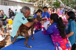 La Alcaldía de Maracaibo benefició a más de 60 familias que recibieron ayudas humanas en jornada social 