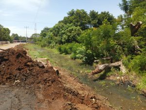 San Francisco despliega operativo de saneamiento en cañadas como medida preventiva ante las lluvias