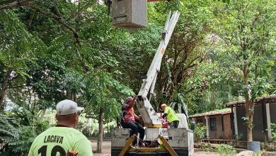 Gobierno de Carabobo desplegó jornada de poda en Jardín Botánico de Naguanagua