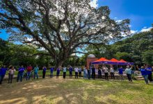 Alcaldía de Naguanagua activó jornadas de acompañamiento psicosocial post terremoto dirigidas a sus trabajadores