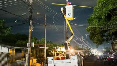 En Naguanagua continúan atendiendo reportes para solventar afectaciones por árboles caídos y averías eléctricas