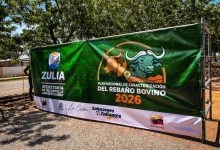 En San Francisco estado Zulia se despliegan más de 50 empadronadores para fortalecer la caracterización del rebaño bovino
