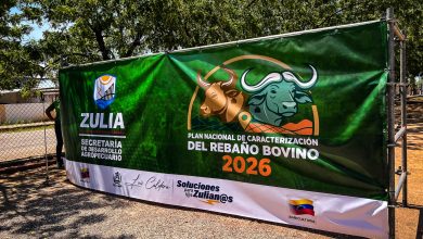 En San Francisco estado Zulia se despliegan más de 50 empadronadores para fortalecer la caracterización del rebaño bovino