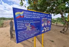 En la parroquia San Isidro de Maracaibo la Cría de Cachama es el resultado de la Consulta Popular