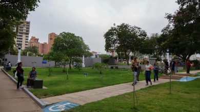 Maracaibo será una ciudad más humanista con la reforma del Instituto Municipal del Ambiente y los pasos peatonales