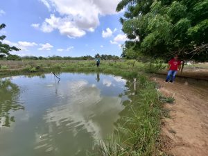 En la parroquia San Isidro de Maracaibo la Cría de Cachama es el resultado de la Consulta Popular
