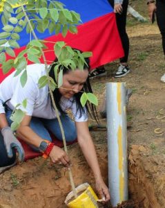 Concejo Municipal de Maracaibo debate nueva ordenanza de arboricultura urbana