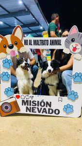Feria Animalista incluirá jornada especial de vacunación antirrábica en Maracaibo