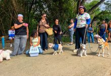 Jornadas veterinarias de la Alcaldía de Naguanagua atendieron más de 5.000 mascotas en un año de gestión de Elizabeth Niño