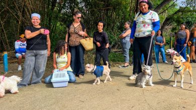 Jornadas veterinarias de la Alcaldía de Naguanagua atendieron más de 5.000 mascotas en un año de gestión de Elizabeth Niño