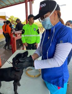 Gobernación del Zulia despliega campaña masiva antirrábica