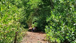 Alcaldía de Maracaibo ejecuta recuperación integral Parque Tierra de Sueños en la parroquia Coquivacoa
