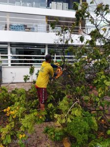 Zulia: Tras fuertes precipitaciones en Maracaibo se desplegó el IMA ante reporte de árboles caídos