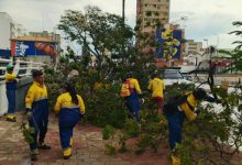 Zulia: Tras fuertes precipitaciones en Maracaibo se desplegó el IMA ante reporte de árboles caídos