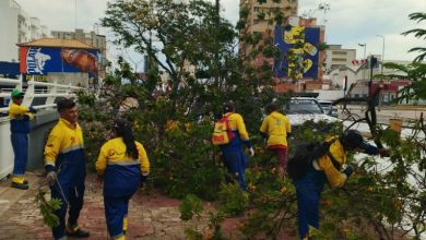 Zulia: Tras fuertes precipitaciones en Maracaibo se desplegó el IMA ante reporte de árboles caídos