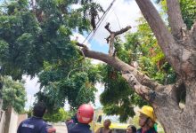Cuerpo de Bomberos del municipio Miranda en el estado Zulia registró 380 servicios