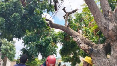 Cuerpo de Bomberos del municipio Miranda en el estado Zulia registró 380 servicios