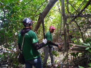 Inicia la primera fase de Saneamiento en el Mangle del sector Las Playitas del municipio Miranda en el estado Zulia