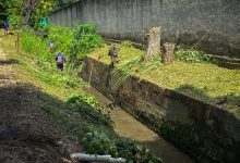Gestión Elizabeth Niño prolonga despliegue de limpieza y mantenimiento de canales en Naguanagua